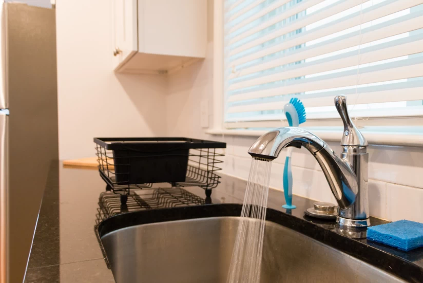 Saratoga Street Boston photo 8