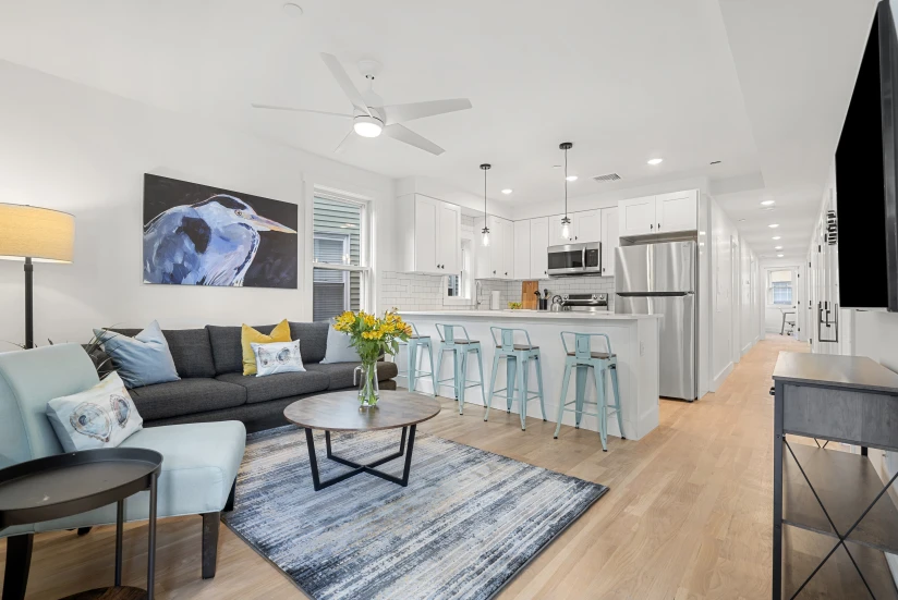 Boston - $1,650+ /month